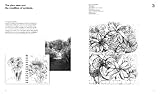 Image de Drawing for Landscape Architects: Construction and Design Manual