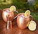 Naava Moscow Mule Mugs - Authentic Russian Moscow Mule Gift Set of 2 Beautiful Artisan Hammered Copper Mugs PLUS Liquor Jigger - Unlined, Unlacquered and Genuine - 100% Solid Copper Guaranteed!
