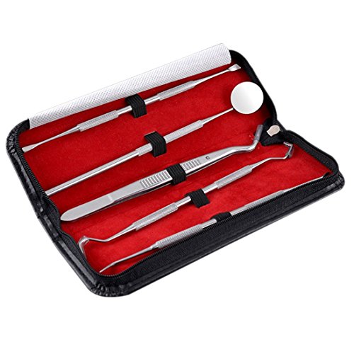 Stainless Steel Dentistry Tools Oral Care Set Probes Mirror Scraper Kit 5Pcs - Thumbnail 6