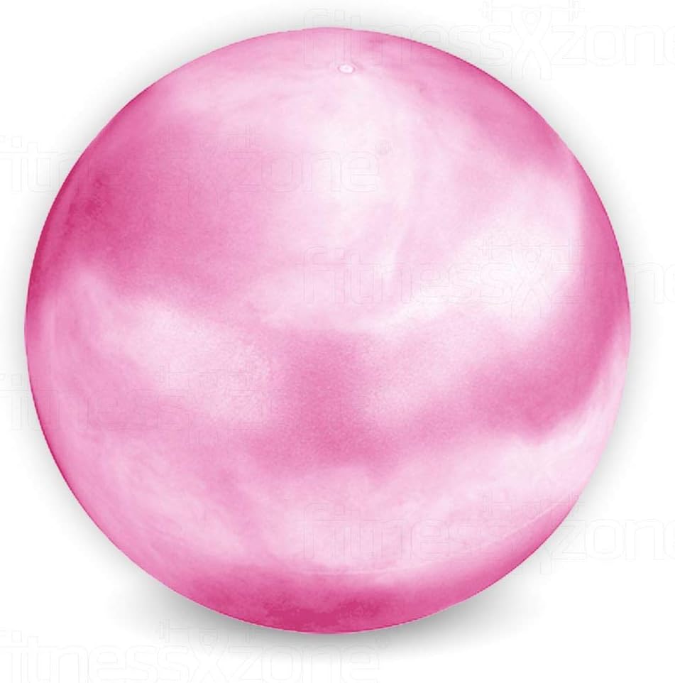 fitnessXzone Exercise Gym Yoga Swiss Ball Fitness Pregnancy Birthing Anti Burst Balls 65cm