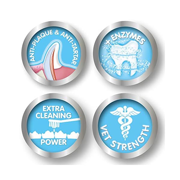 Beaphar-Toothbrush-and-Toothpaste-Kit-100g Beaphar | Toothbrush & Toothpaste Dental Care Kit | For Dogs & Cats | Includes a Double-Ended Toothbrush & Liver…