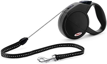 will puppies eat their own poop