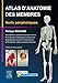 Atlas D'anatomie Des Membres: Nerfs Périphériques (French Edition) by Philippe Rigoard