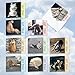 The Best Card Company - 10 Blank Yoga Note Cards (4x 5.12 Inch) - Boxed Notecards with Envelopes, Cute Animal Cards, Zen Assortment - Cat Yoga MQ4952OCB-B1x10