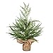 VGIA 18 inch Mini Christmas Tree Artificial Christmas Pine Tree with a Wooden Base Tabletop Christmas Tree
