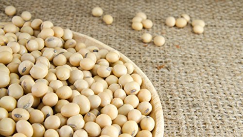Hunza Organic Soybeans (2 lbs) - Thumbnail 5