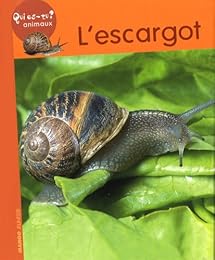 L' escargot