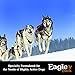 Eagle Pack Power Natural Dry Dog Food, Chicken & Pork, 40-Pound Bag