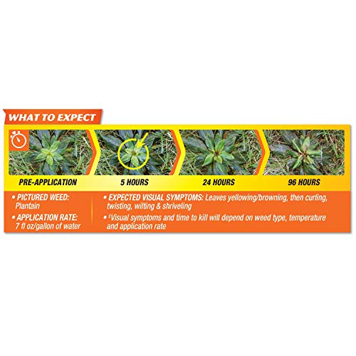 3 Spectracide+Crabgrass+Killer+Concentrate+40+Ounce