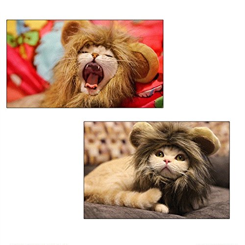 CPPSLEE Lion Mane Wig Costume for Cat (Gray) - Thumbnail 3
