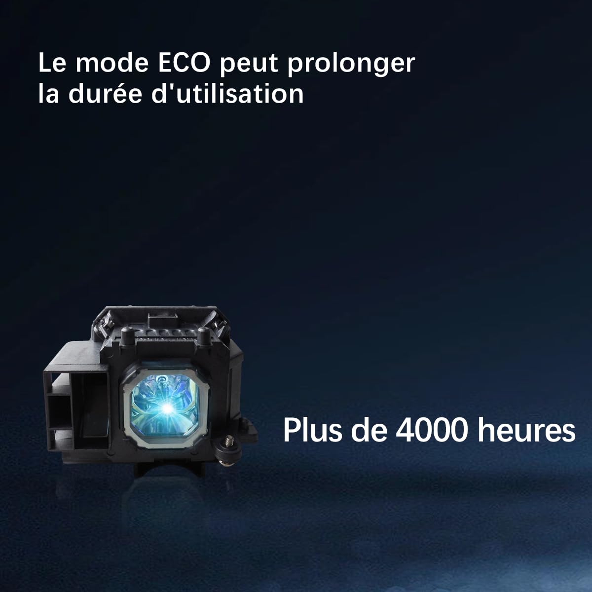 View 4