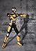 TAMASHII NATIONS Bandai S.H. Figuarts Robo Rider Kamen Rider Black RX Action Figure