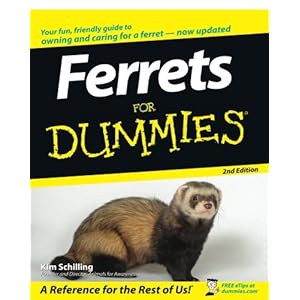 Ferrets For Dummies