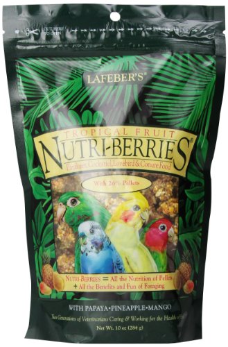 Lafeber's Gourmet Tropical Fruit Nutri-Berries for Cockatiels 10 oz Bag