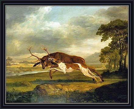 Stubbs (Hound Coursing a Stag, c.1762) Canvas Art Print Reproduction Framed with 2.6" wide Black Frame and Gold Edge (15.9x20.1 in) (40x51 cm)