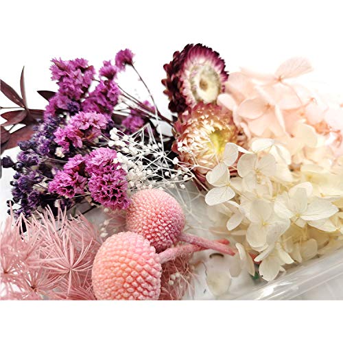Real Natural Dried Flowers for Art Craft Mixed Multiple Colorful Dried
