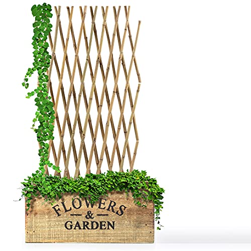 Floordirekt Bambus Rankgitter für Garten, Balkon & Terrasse | Individuell ausziehbar | Witterungsbeständig & langlebig…