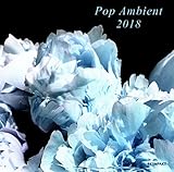 Pop Ambient 2018 (Various Artists)