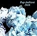 Pop Ambient 2018 (Various Artists)
