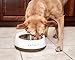 PETKIT 'FRESH METAL' Large Anti-Bacterial Machine Washable Smart Food Weight Calculating Digital Scale Pet Cat Dog Bowl Feeder w/ Inlcuded Batteries and Ejectable Stainless Bowl, One Size, Wood