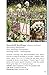 Rocky Mountain Wildflowers Field Guide