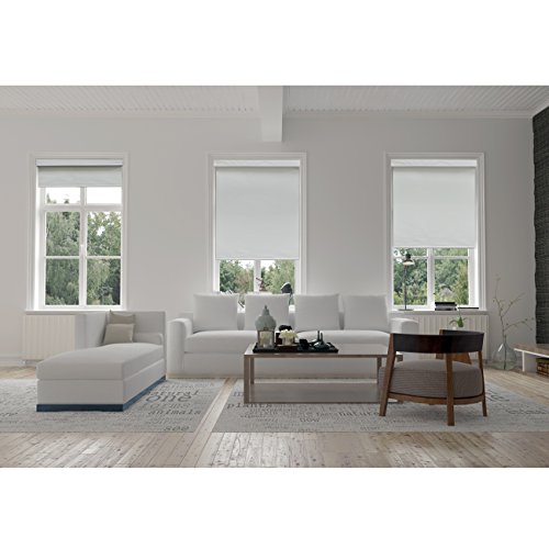 image for Chicology Free-Stop Cordless Roller Shades / Blind Curtain Drape, No T