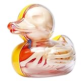 Animal - Bathing Ducky Funny Anatomy