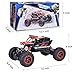 RC Car, NQD 1:16 Dual Motors Remote Control Truck, 2.4Ghz 4WD Off Road Remote Control Car with Two Rechargeable Batteries, Buggy Hobby Toy for Kids & Adults