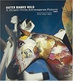 Front cover for the book Outer Banks wild : a winged horse extravaganza pictorial by Steve Alterman