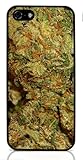 Marijuana Kush Weed Hard Case for Apple iPhone 5/5S ( Sugar Skull )