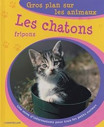Les  chatons fripons