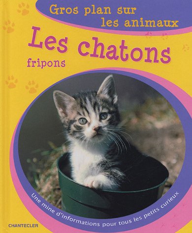 Les  chatons fripons