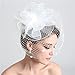 L'ivresse White Birdcage Net Wedding Bridal Fascinator Face Veils Feather Flower with Hairpins (WHITE)
