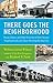 There Goes the Neighborhood: Racial, Ethnic, and Class Tensions in Four Chicago Neighborhoods and Their Meaning for America