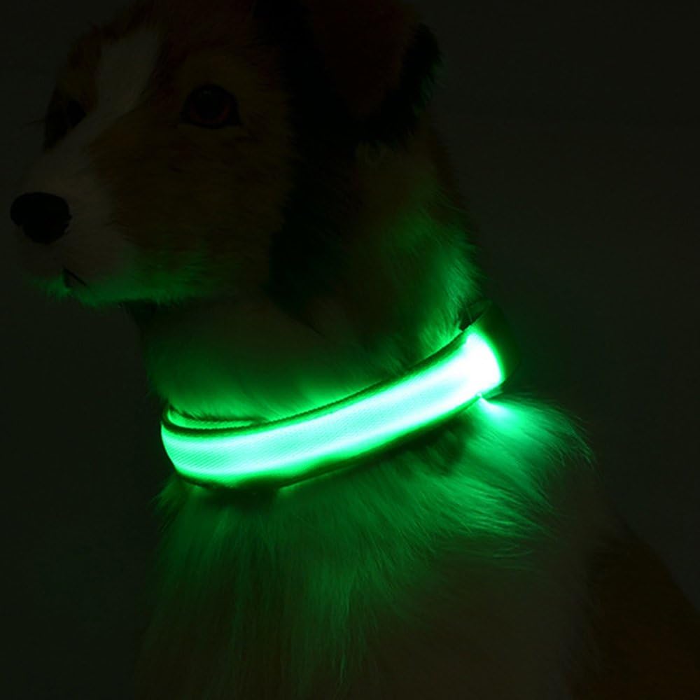 MS.CLEO LED Dog Collar with USB Rechargeable, Walking Safety at Night, No Hassle with Replacing Batteries