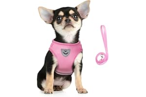 FEimaX Dog Harness and Leash Set for Walking, Soft Mesh Adjustable Easy Control Lightweight Cat Vest Harnesses with Reflective Strips, Escape Proof Small Dogs Cats Vests (Pink, X-Small)