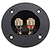 PIXNOR DIY Home Car Stereo 2-Way Speaker Box Terminal Binding Post Round Screw Cup Connector Subwoofer Plug (Black) primary