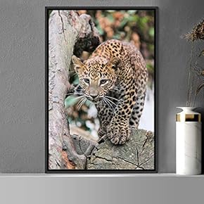 signwin Framed Canvas Wall Art Leopard Animals Cheetah...