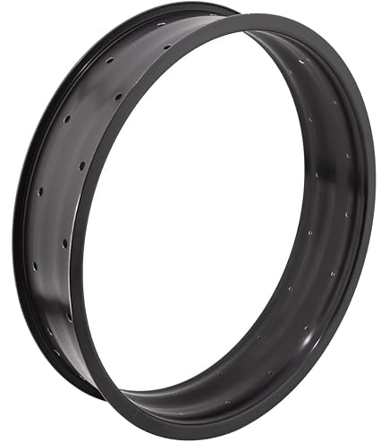 Amazon.com : DT Swiss R 460 DB 700c : Sports & Outdoors
