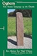 Ogham: The Secret Language of the Druids