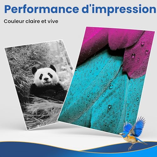 Jhaan Ink Cartridges Compatible with Epson XP 2200 Ink Cartridges for Epson Expression Home XP-2200 XP-2205 XP-3200 XP-4200 Workforce WF 2910DW 2930DWF (Pack of 10)