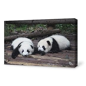 Canvas Wall Art for Living Room,Bedroom Home Artwork Paintings Cute Panda Ready to Hang - 12x18 inches