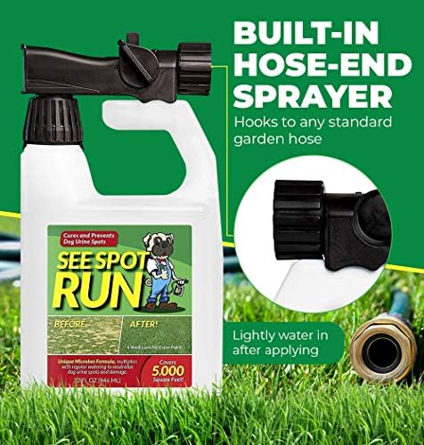 dog urine burning grass remedy