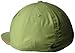 NIKE True Statement Golf Hat