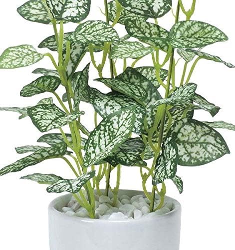 日用品 インテリア 家具 光の楽園 光触媒 人工観葉植物 ミニピポエスタポット B071zz3wqc 2 040円 人気海外一番 100 品質保証 全品送料無料 即日出荷 Sale開催中