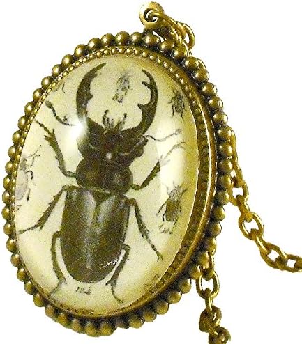 Schmutzerland Vintage Stag Beetle Insect Necklace Pendant Made in the USA