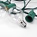 25Ft G40 Globe String Light Set, UL Listed for Indoor/Outdoor Commercial Decor (Green Wire)