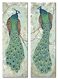 2 Roosting Peacock Art Prints Exotic Animal Home Decor 6x18