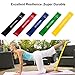 Resistance Bands - 17 pcs With Door Anchor, Ankle Straps, Handles ,Starter Guide And Carrying Bag For Chest Shoulders Back Leg Abs Biceps Triceps Workout By BOOCOSA (Heavyweight) (Lightweight)