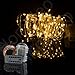 Homeleo 10 Meters 100 LEDs Battery Operated Christmas String Lights w/Remote Wireless Dimmable LED Copper Wire String Lights Flexible Indoor Outdoor String Lights(Warm White,Waterproof)